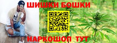прущий лед Будённовск